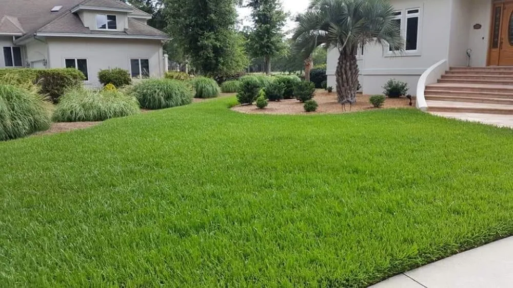 Top-rated yard maintenance for outdoor upgrades in Guyton, GA by Tailor Made Lawns