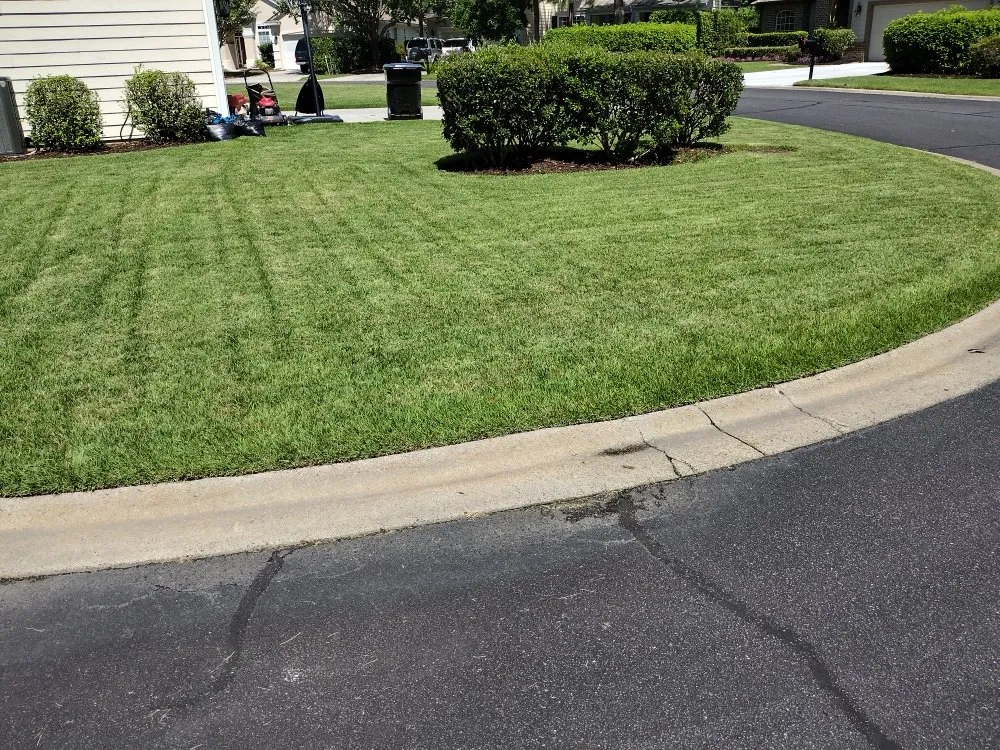 Top-rated yard maintenance in Guyton, GA by Tailor Made Lawns