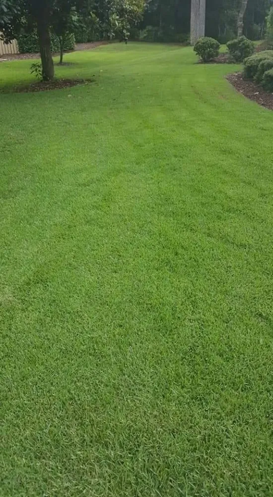 Affordable landscape installation in Guyton, GA - Tailor Made Lawns