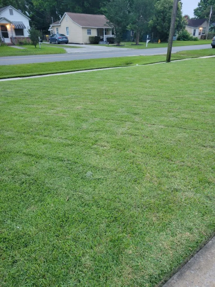 Professional garden landscaping in Guyton, GA by Tailor Made Lawns