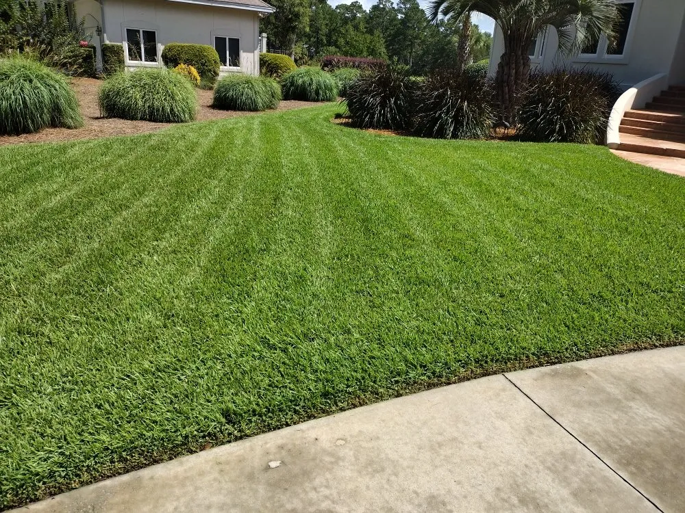 Top-rated yard cleanup service for residential properties across Guyton, GA - Tailor Made Lawns