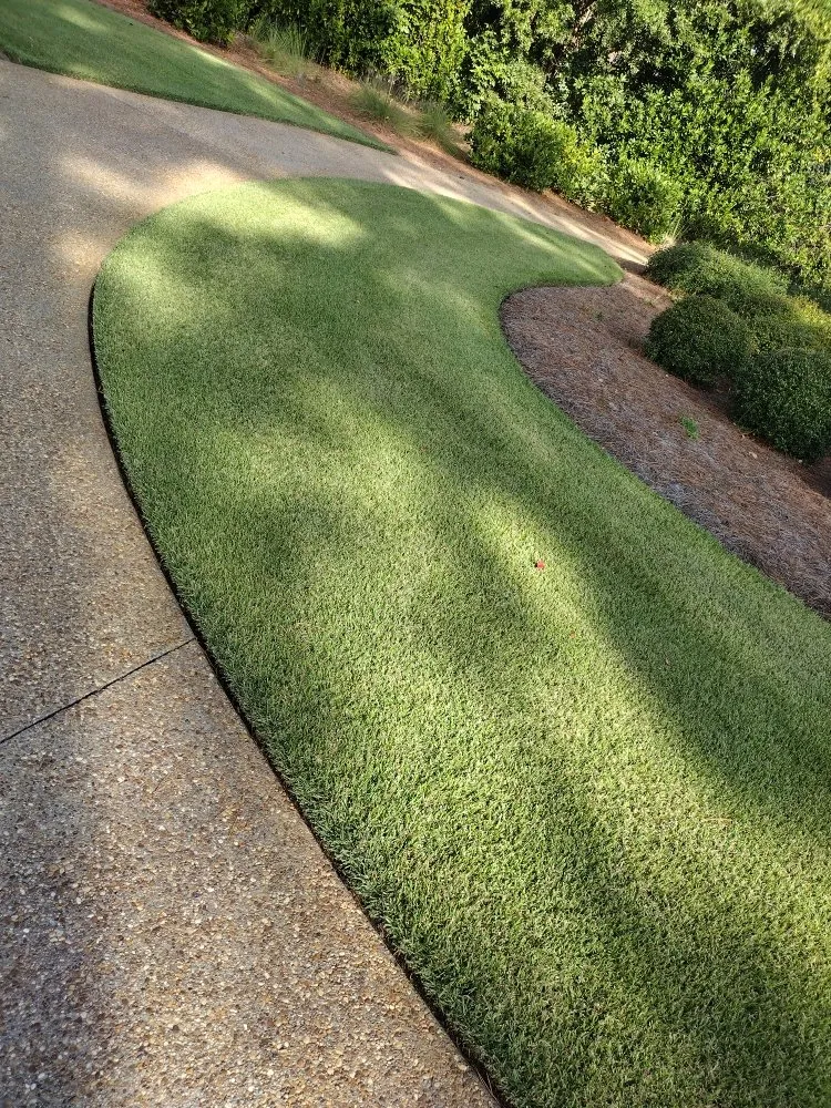 Expert landscaping services for homes across Guyton, GA - Tailor Made Lawns