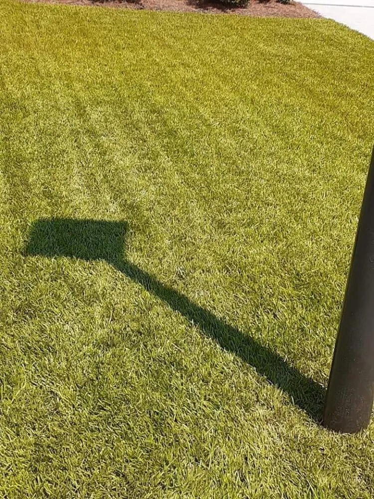 Affordable outdoor landscaping in Guyton, GA - Tailor Made Lawns