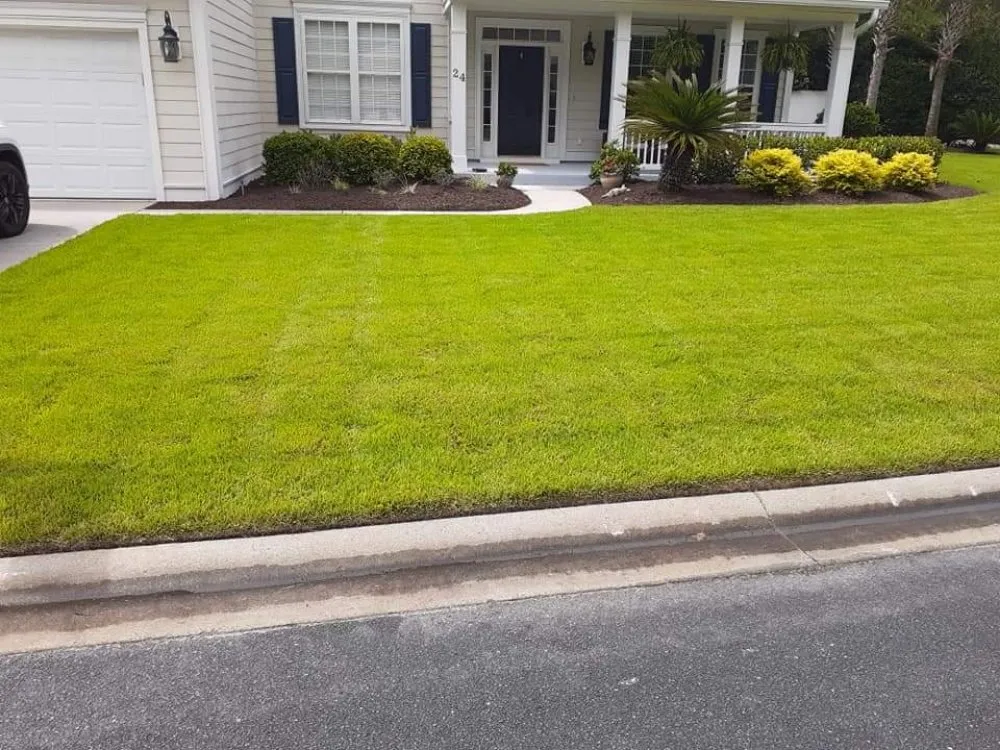 Trusted yard maintenance in Guyton, GA by Tailor Made Lawns