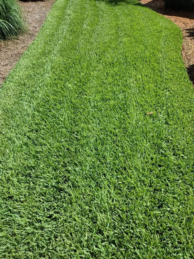 Trusted landscaping services in Guyton, GA - Tailor Made Lawns