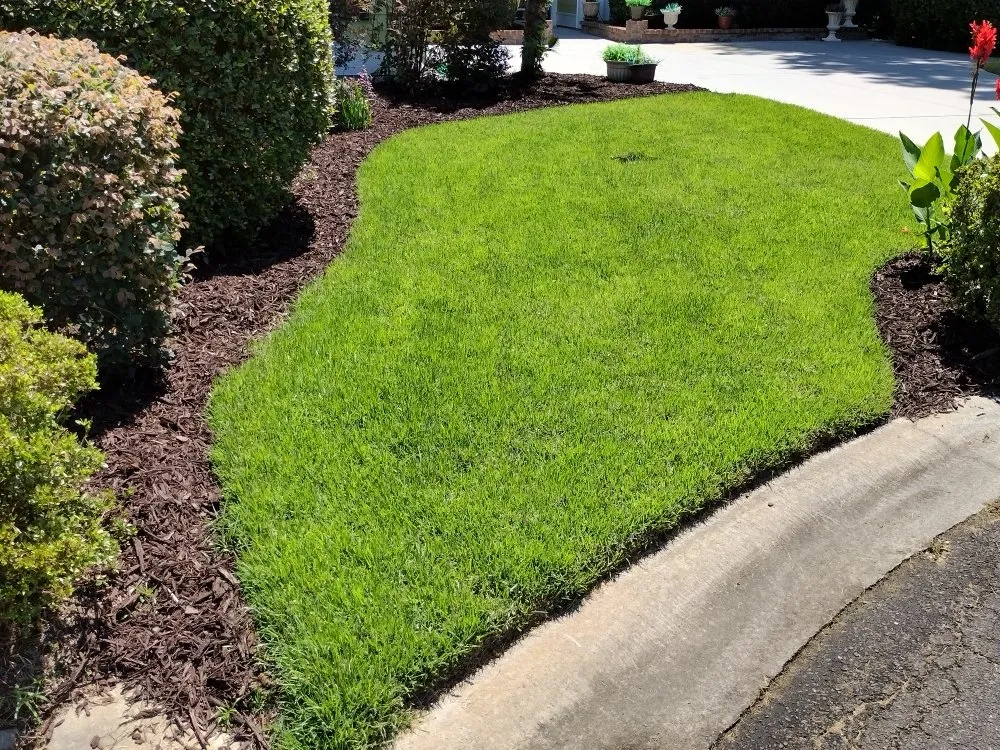 Affordable lawn mowing service in Guyton, GA - Tailor Made Lawns