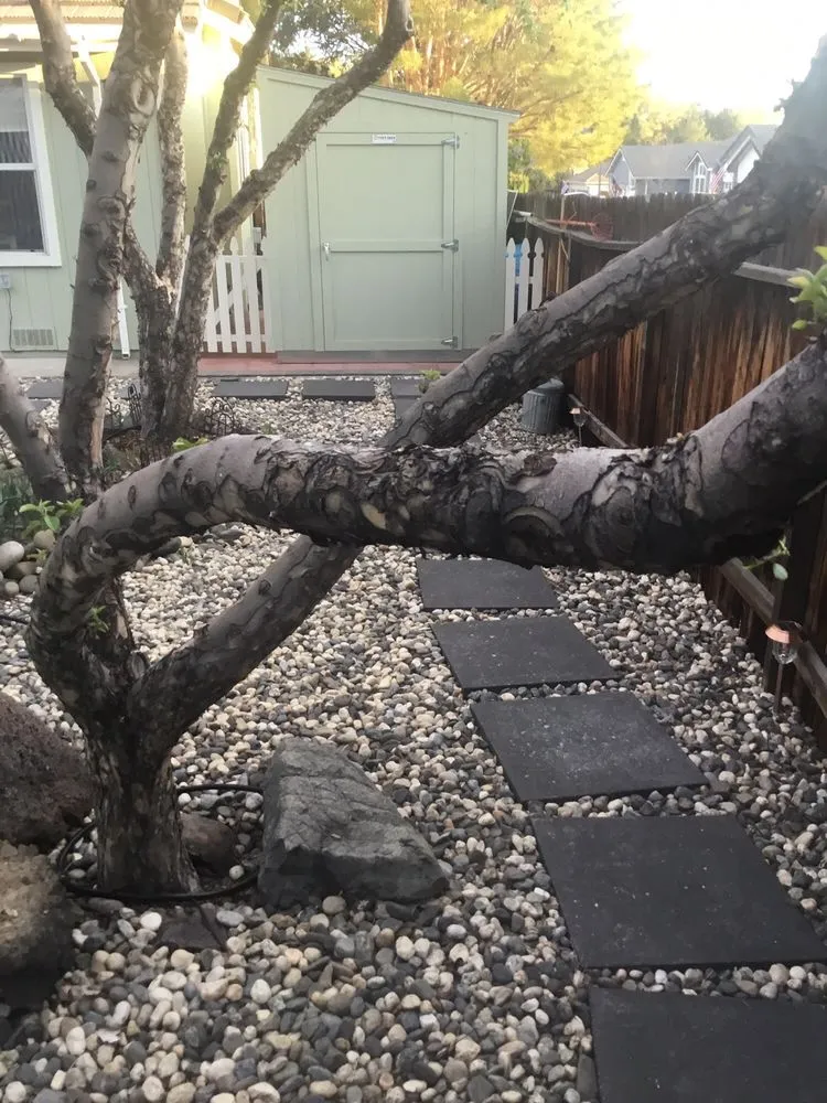 Affordable garden landscaping in Sparks, NV by Tailored Lawn Care