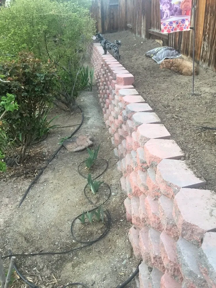 Custom yard maintenance for outdoor upgrades in Sparks, NV by Tailored Lawn Care