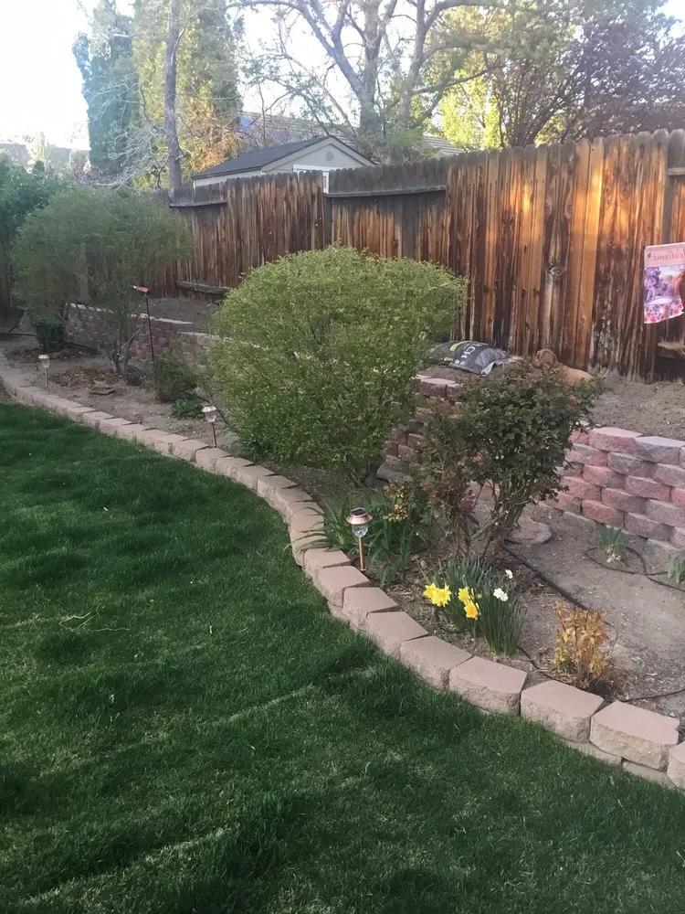 Custom landscaping services in Sparks, NV - Tailored Lawn Care