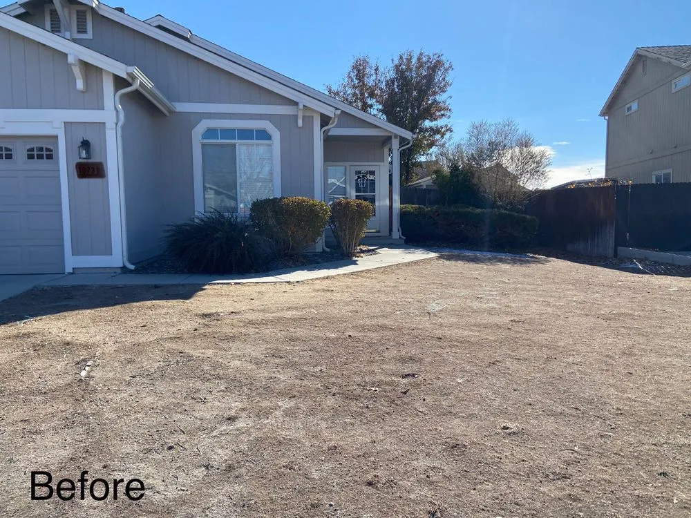 Custom garden landscaping for beautiful yards in Sparks, NV by Tailored Lawn Care