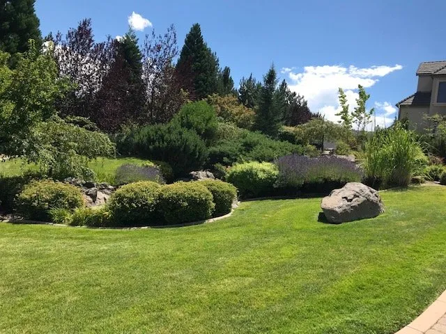 Reliable yard maintenance for year-round maintenance across Sparks, NV - Tailored Lawn Care