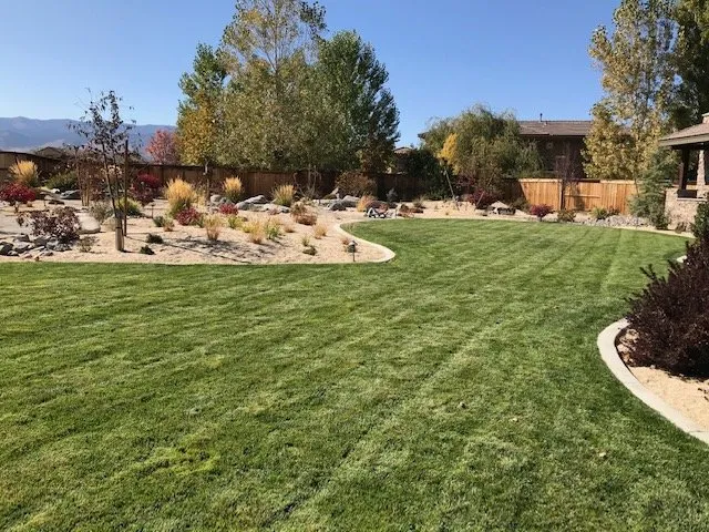 Local lawn care service for outdoor upgrades across Sparks, NV - Tailored Lawn Care
