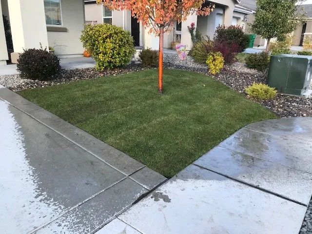 Reliable outdoor landscaping near you in Sparks, NV by Tailored Lawn Care