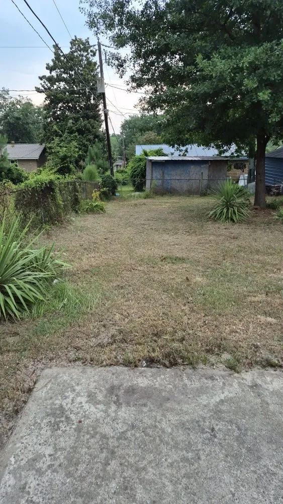 Local yard cleanup service in Columbia, SC by Tailored Maintenance Solutions