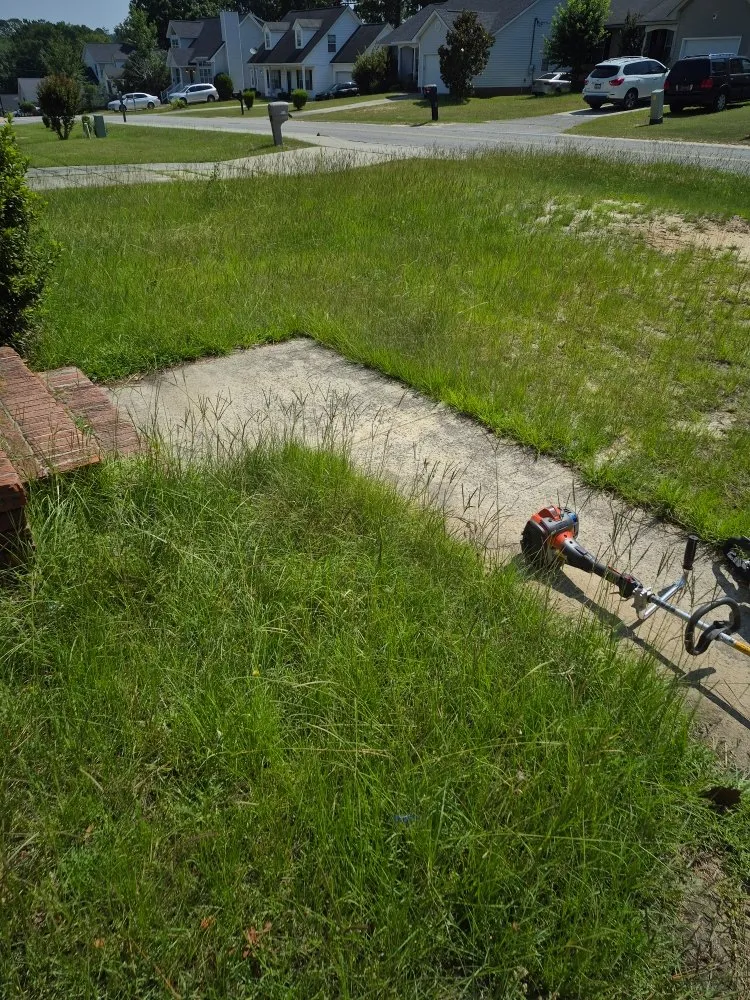 Trusted landscape installation in Columbia, SC by Tailored Maintenance Solutions