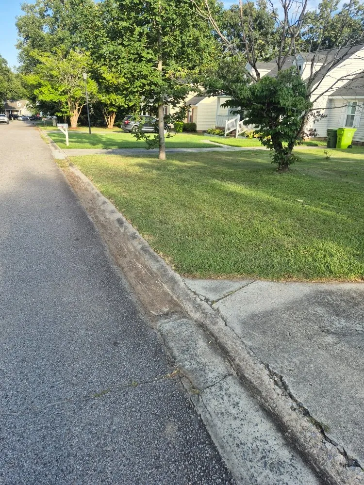 Affordable landscape design for year-round maintenance across Columbia, SC - Tailored Maintenance Solutions