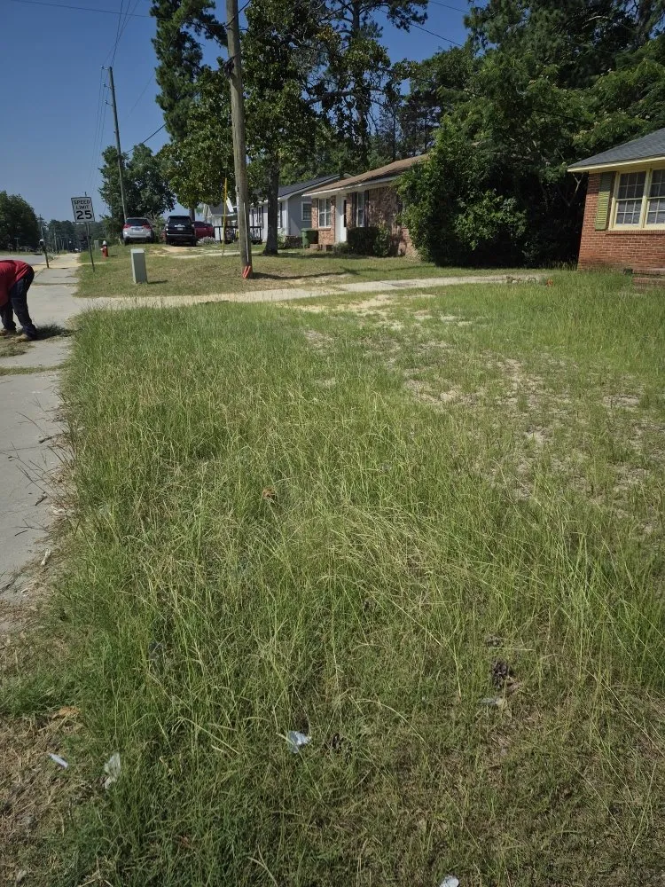 Trusted landscaping services experts serving Columbia, SC - Tailored Maintenance Solutions