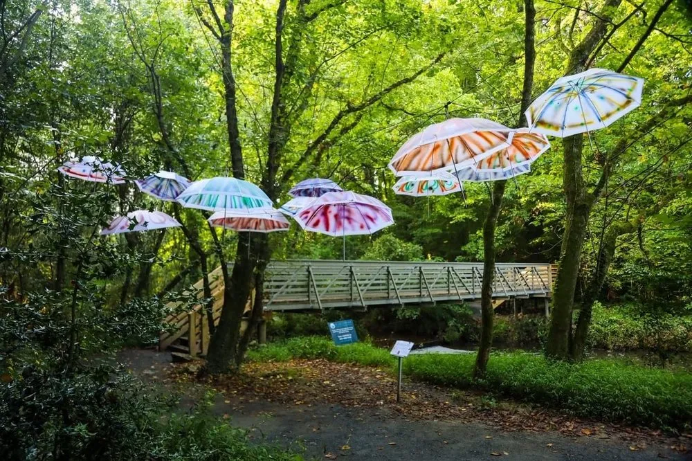 Expert landscape design for year-round maintenance in Cumming, GA by Tailored Trails