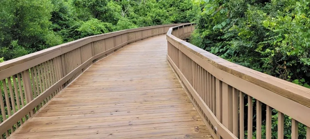 Local yard maintenance for outdoor upgrades in Cumming, GA by Tailored Trails