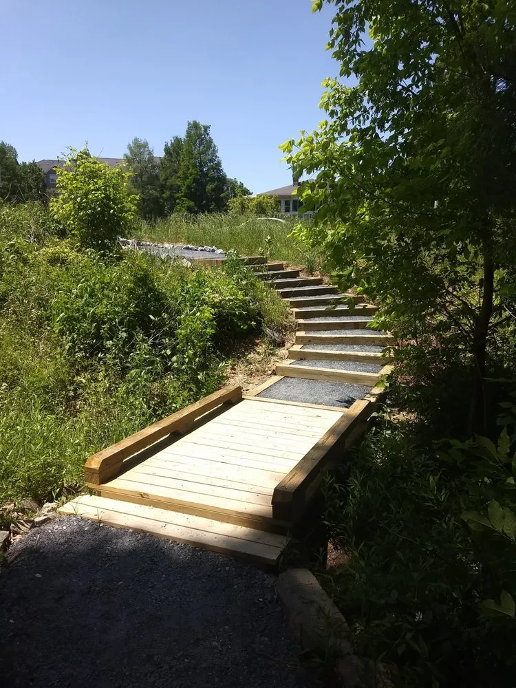 Expert yard cleanup service in Cumming, GA by Tailored Trails