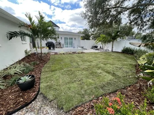 Tailored Tree’s & Landscape’s