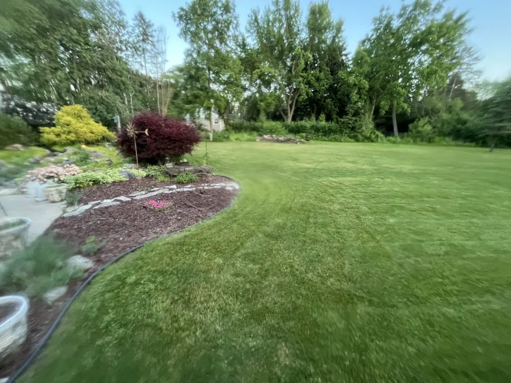 Trusted yard maintenance near you across Milwaukee, WI - Tailormade Lawn Care
