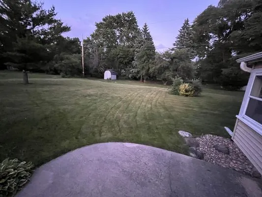 Tailormade Lawn Care Logo