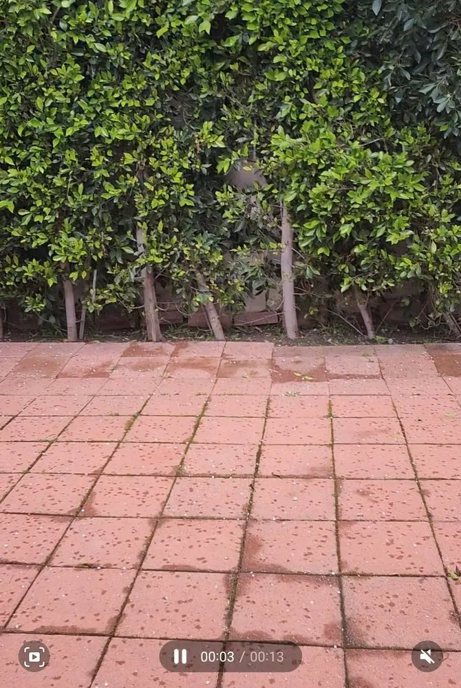 Custom landscape design for residential properties across Redondo Beach, CA - Takapu Complete Hardscape & Softscape