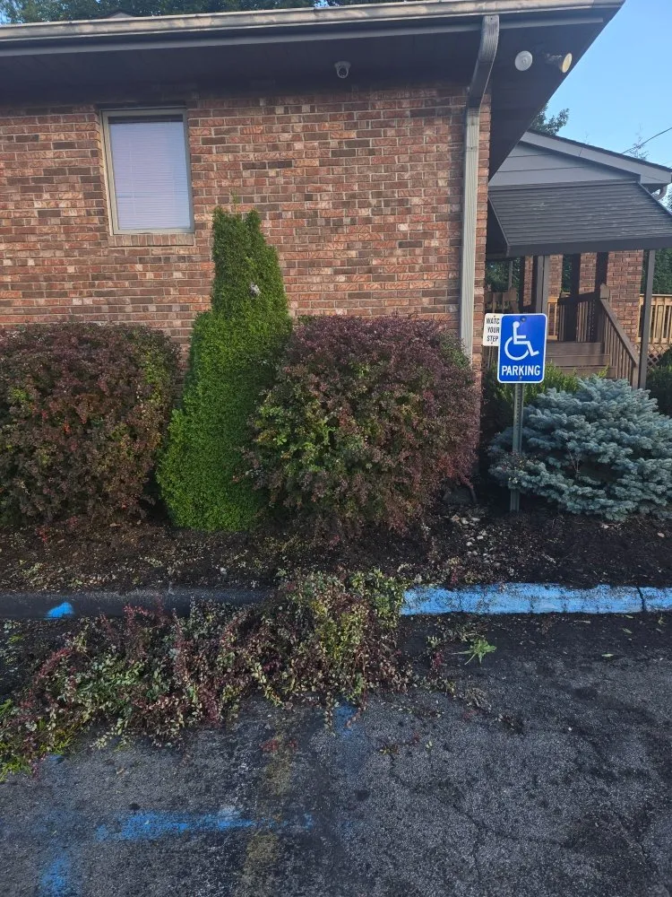 Top-rated lawn care service for beautiful yards in Surveyor, WV by Takas Lawncare And Handyman