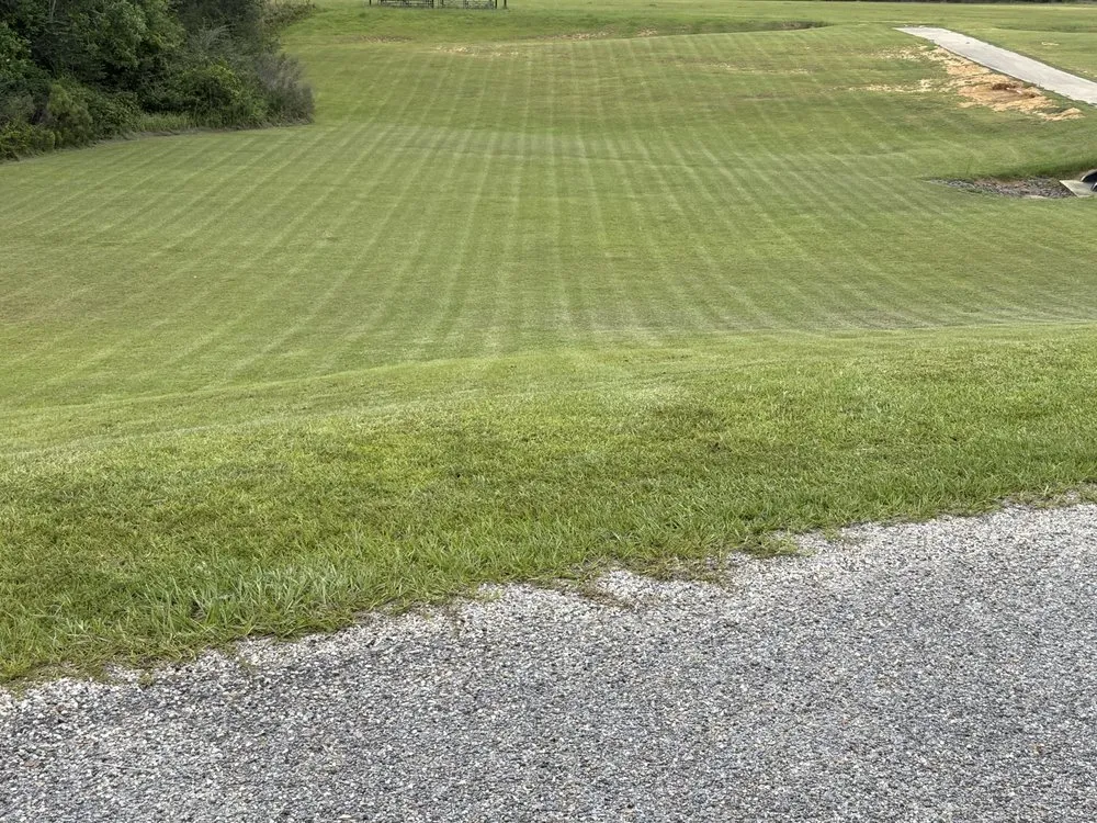 Local lawn mowing service in Gulfport, MS by Take A Chance Lawn Care