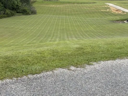 Take A Chance Lawn Care Logo