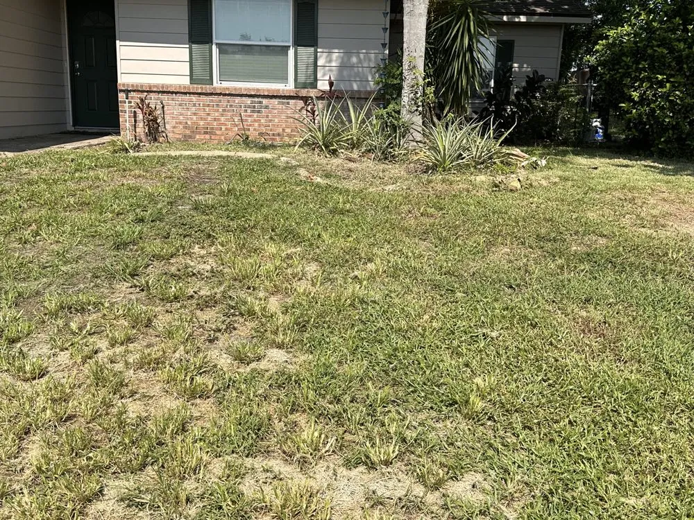 Local outdoor landscaping in Leesburg, FL by Take care A Lawn Maintenance Company