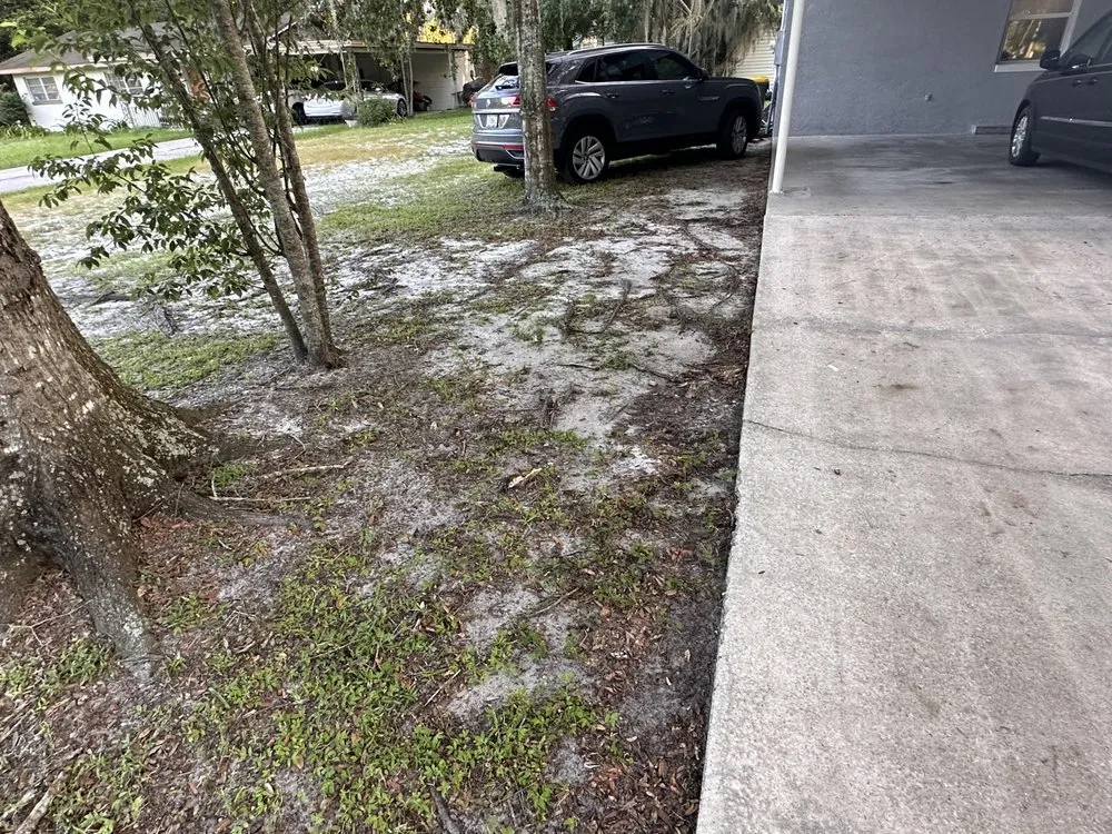 Reliable garden landscaping experts serving Leesburg, FL - Take care A Lawn Maintenance Company