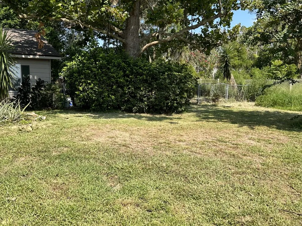 Professional yard maintenance for residential properties in Leesburg, FL by Take care A Lawn Maintenance Company