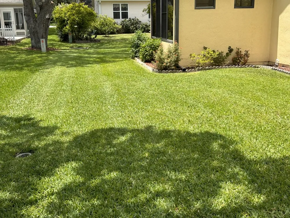 Trusted yard cleanup service experts serving Leesburg, FL - Take care A Lawn Maintenance Company