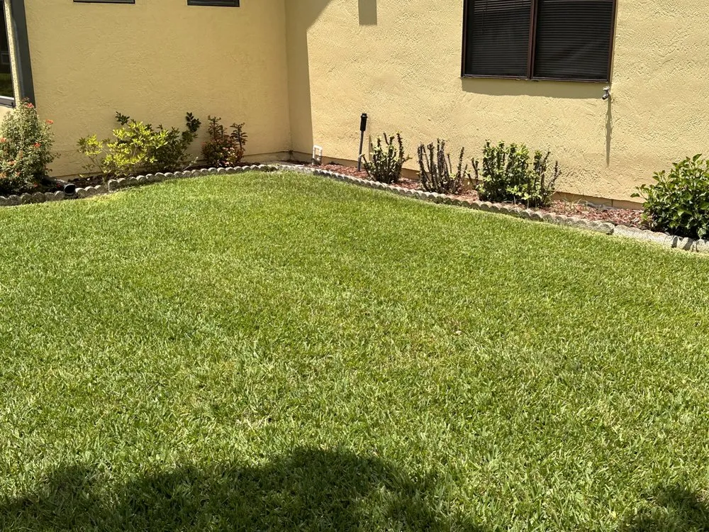 Affordable landscape installation in Leesburg, FL - Take care A Lawn Maintenance Company