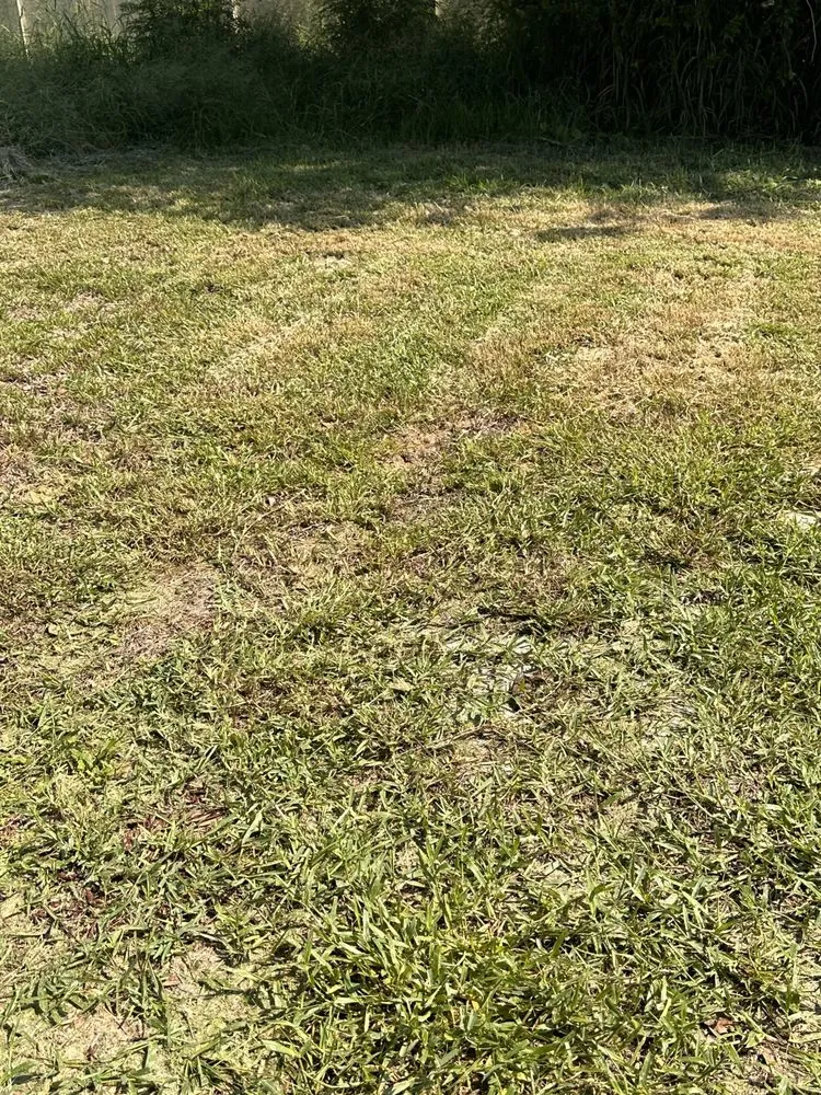 Top-rated landscaping services for year-round maintenance in Leesburg, FL by Take care A Lawn Maintenance Company