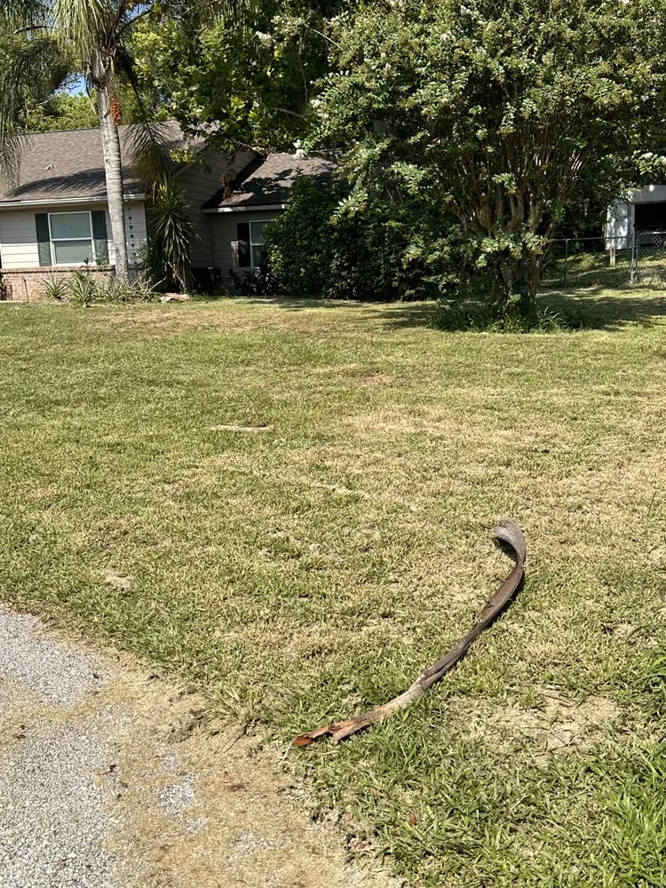 Professional landscape installation in Leesburg, FL - Take care A Lawn Maintenance Company