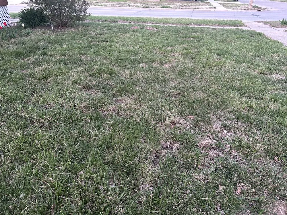 Local garden landscaping in Columbus, NE by Take Care of You Lawn