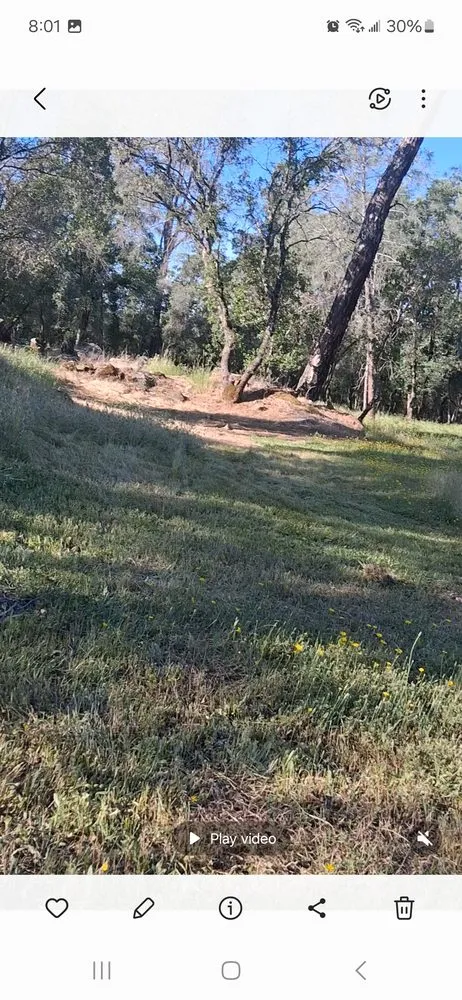 Top-rated residential landscaping for beautiful yards across Palermo, CA - Take Down