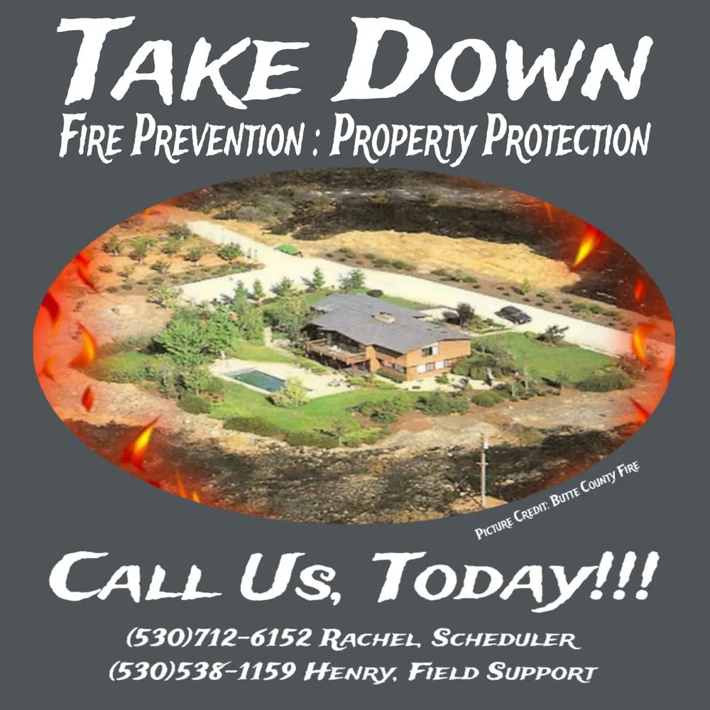 Expert yard cleanup service for beautiful yards in Palermo, CA by Take Down