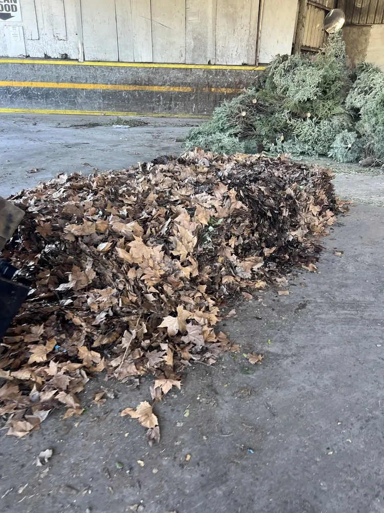 Custom yard maintenance near you across Petaluma, CA - Take It All Haul