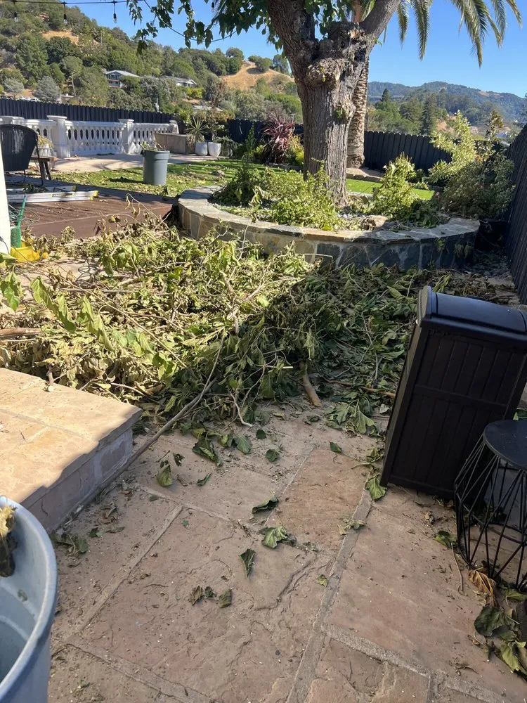 Affordable residential landscaping experts serving Petaluma, CA - Take It All Haul