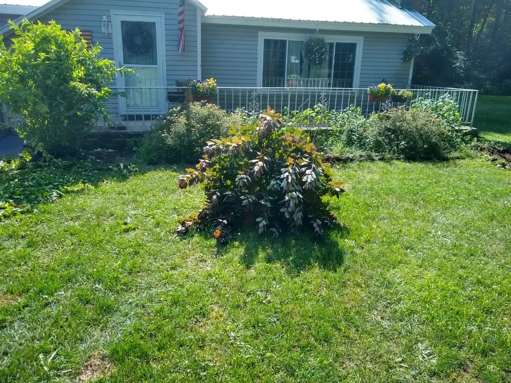 Professional lawn mowing service in Holland Patent, NY by TAKEM LAWN CARE