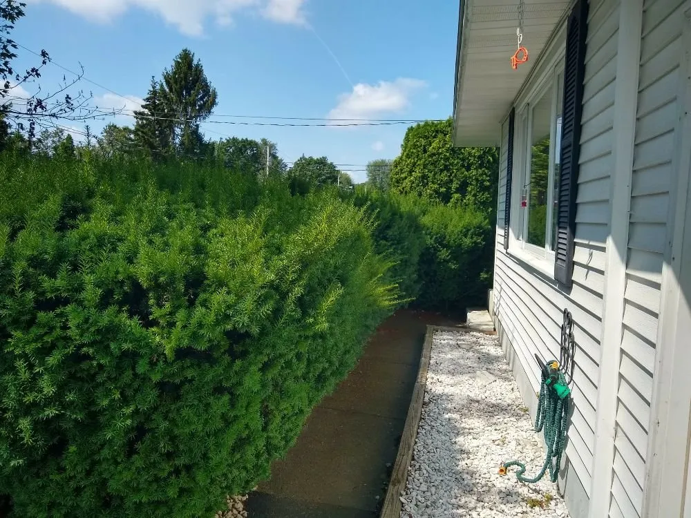 Affordable landscape design for outdoor upgrades in Holland Patent, NY by TAKEM LAWN CARE