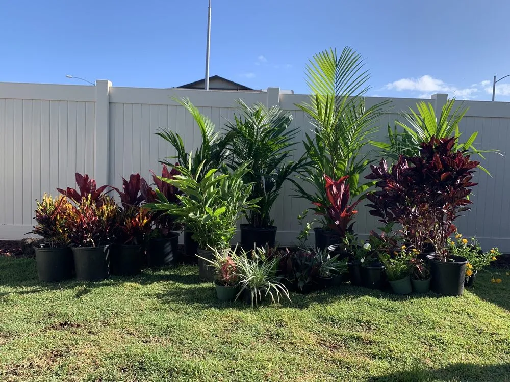 Top-rated yard maintenance for beautiful yards in Kunia, HI by Takenaka Landscaping Company