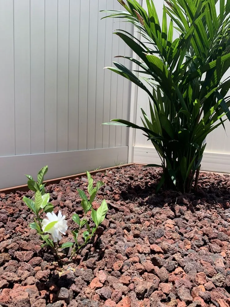 Custom garden landscaping experts serving Kunia, HI - Takenaka Landscaping Company