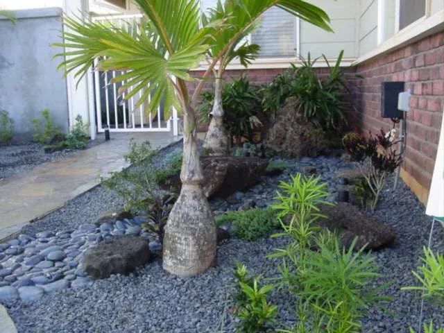 Trusted landscaping services in Kunia, HI by Takenaka Landscaping Company