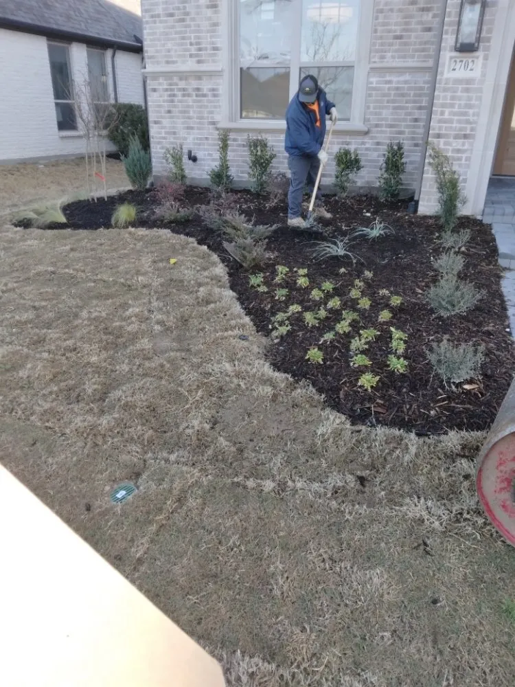 Local lawn care service for year-round maintenance in Plano, TX by Takeover Landscaping