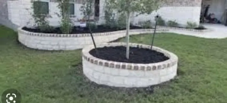 Affordable yard maintenance in Sahuarita, AZ by Takeover Landscaping